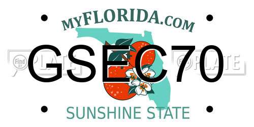 GSEC70 Florida License Plate