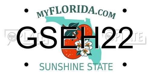 GSEH22 Florida License Plate