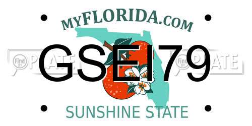 GSEI79 Florida License Plate
