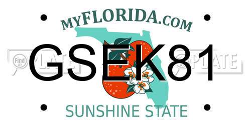 GSEK81 Florida License Plate
