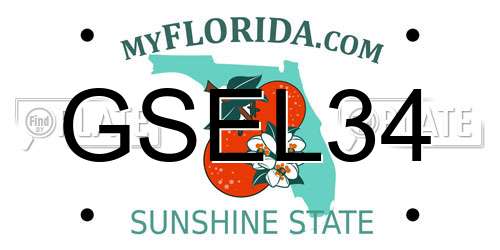 GSEL34 Florida License Plate