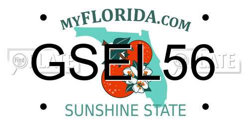 GSEL56 Florida License Plate