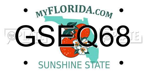 GSEQ68 Florida License Plate