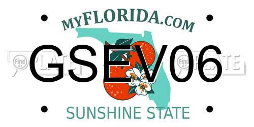 GSEV06 Florida License Plate