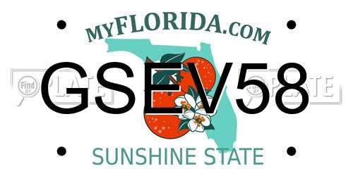 GSEV58 Florida License Plate
