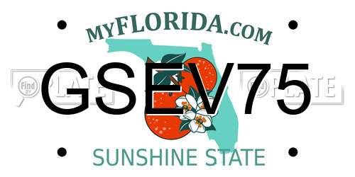 GSEV75 Florida License Plate
