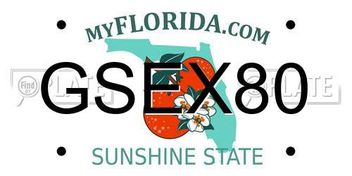 GSEX80 Florida License Plate