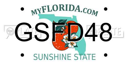 GSFD48 Florida License Plate
