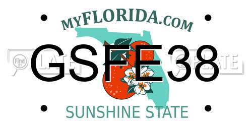 GSFE38 Florida License Plate