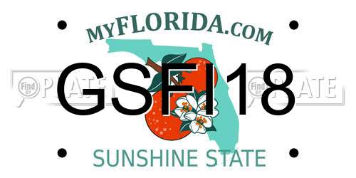 GSFI18 Florida License Plate