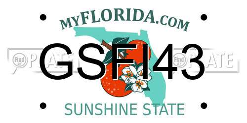 GSFI43 Florida License Plate