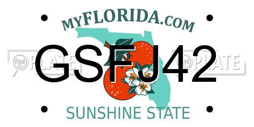 GSFJ42 Florida License Plate