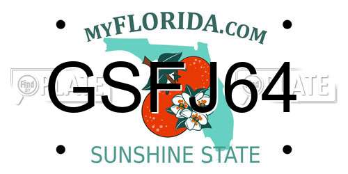 GSFJ64 Florida License Plate