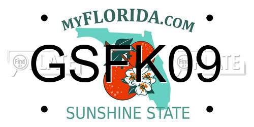 GSFK09 Florida License Plate