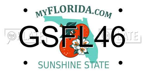 GSFL46 Florida License Plate