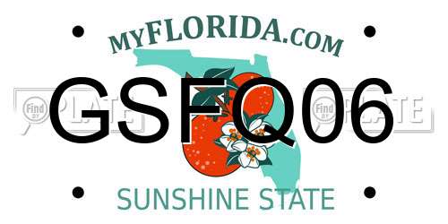 GSFQ06 Florida License Plate
