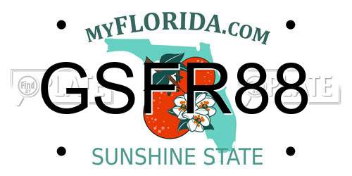 GSFR88 Florida License Plate