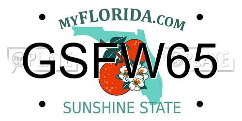 GSFW65 Florida License Plate