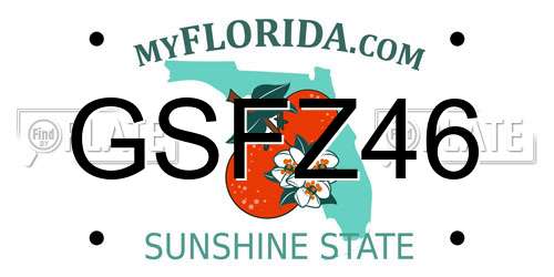 GSFZ46 Florida License Plate