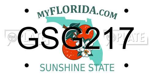 GSG217 Florida License Plate