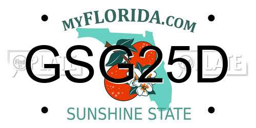 GSG25D Florida License Plate