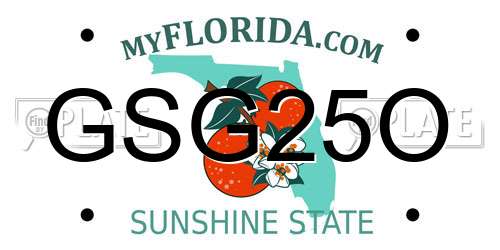 GSG25O Florida License Plate