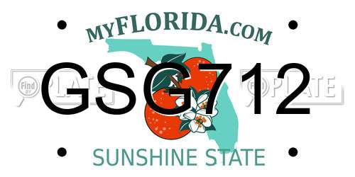 GSG712 Florida License Plate