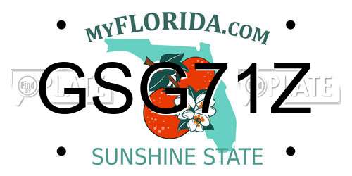 GSG71Z Florida License Plate