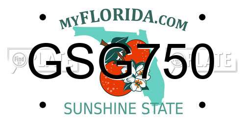 GSG750 Florida License Plate