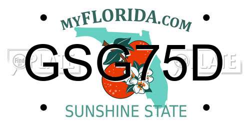 GSG75D Florida License Plate