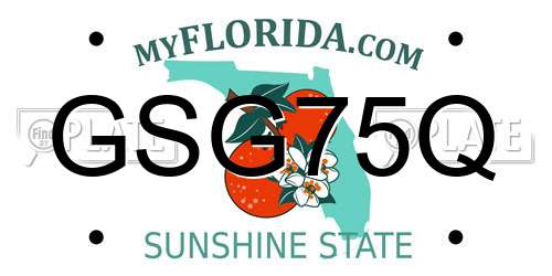 GSG75Q Florida License Plate