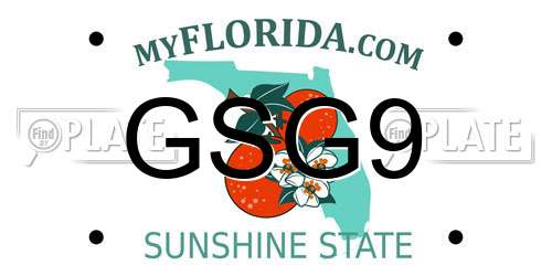 GSG9 Florida License Plate