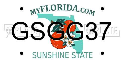 GSGG37 Florida License Plate