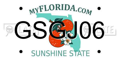 GSGJ06 Florida License Plate