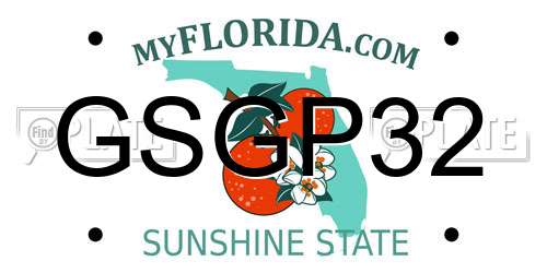 GSGP32 Florida License Plate