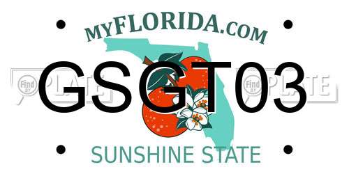 GSGT03 Florida License Plate