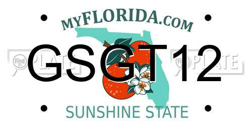 GSGT12 Florida License Plate