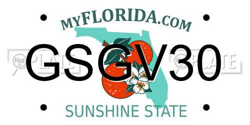 GSGV30 Florida License Plate