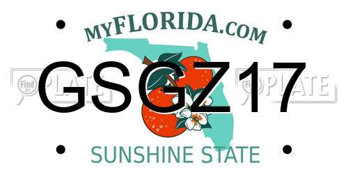 GSGZ17 Florida License Plate