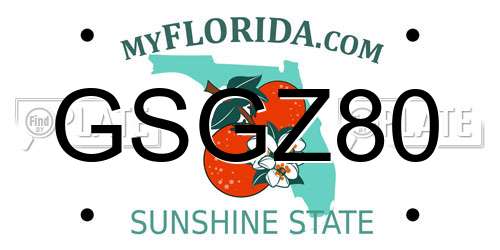 GSGZ80 Florida License Plate