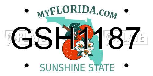 GSH1187 Florida License Plate