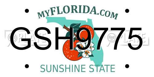 GSH9775 Florida License Plate