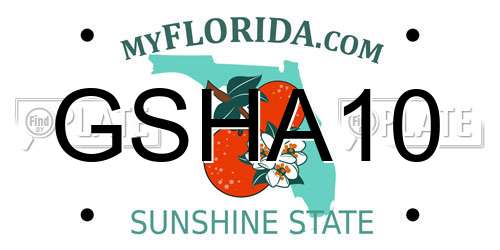 GSHA10 Florida License Plate