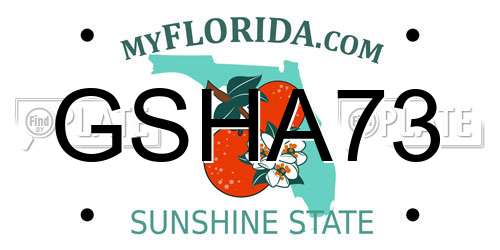 GSHA73 Florida License Plate