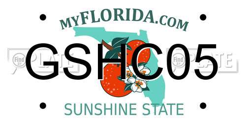 GSHC05 Florida License Plate