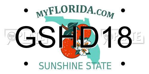 GSHD18 Florida License Plate