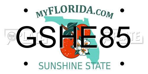 GSHE85 Florida License Plate