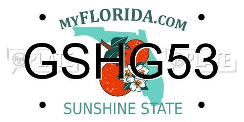 GSHG53 Florida License Plate