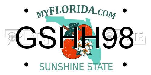 GSHH98 Florida License Plate