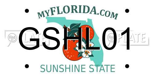 GSHL01 Florida License Plate